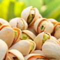 Les meilleures noix de pistaches de qualité